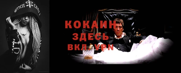 спайс Арсеньев