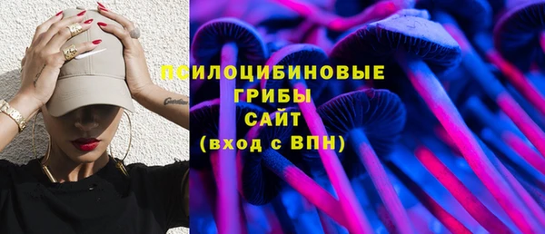 спайс Арсеньев