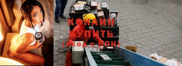 спайс Арсеньев