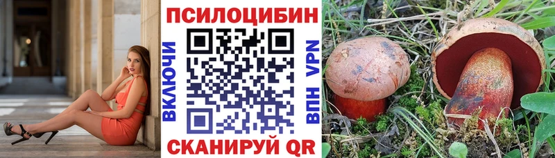 закладка  Строитель  Псилоцибиновые грибы прущие грибы 
