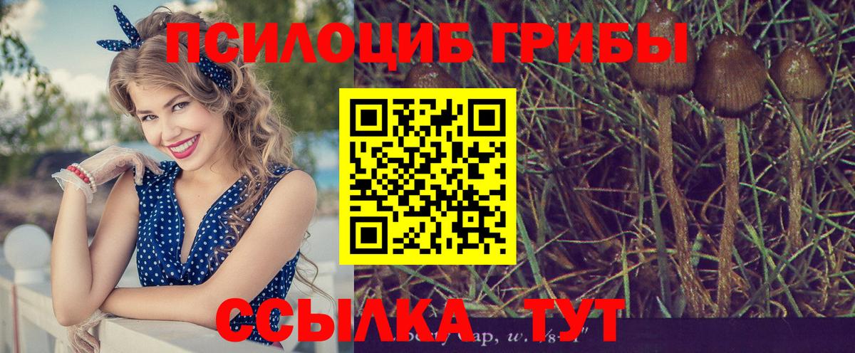 Кодеин Строитель