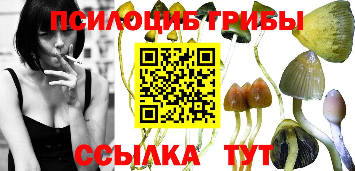 Псилоцибиновые грибы Psilocybine cubensis  Вход с VPN  Псилоцибиновые грибы Psilocybine cubensis  Строитель 