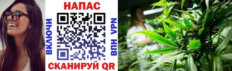 Бошки марихуана Bruce Banner Строитель